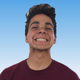 Niko Mengoni mugshot