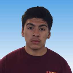 Enrique Suarez mugshot