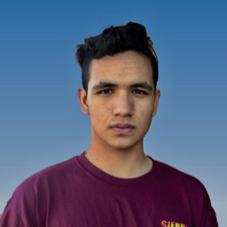 Carlos Torres mugshot