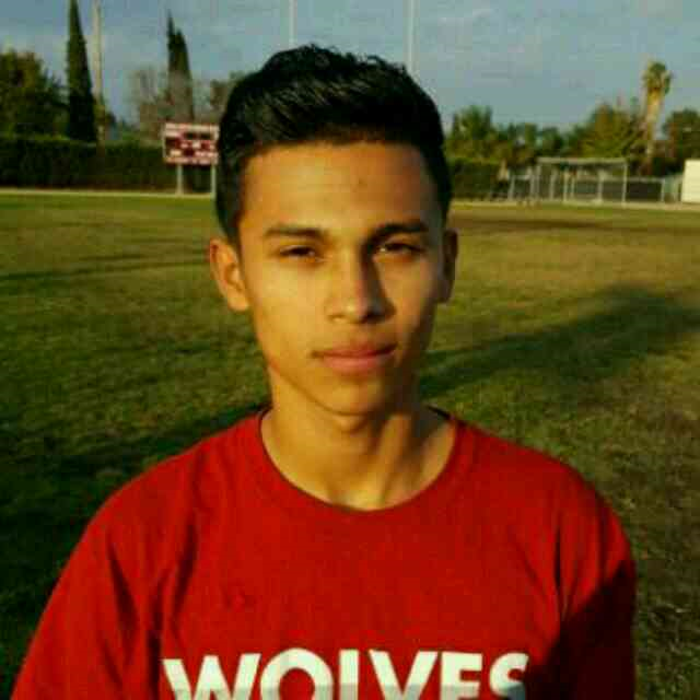 Luis Alvarenga mugshot