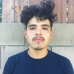 Alexis Ochoa mugshot