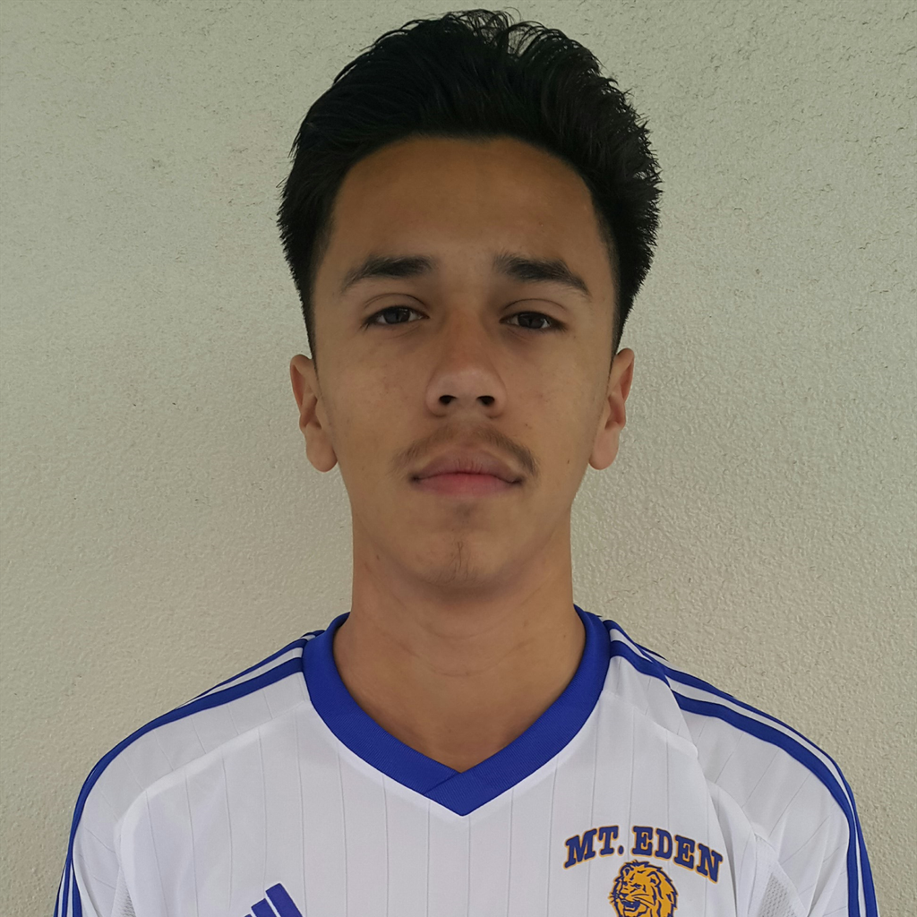 Lauro Correa mugshot