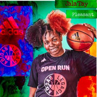 Jala'tay Pleasant mugshot