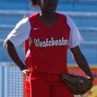 Leesa Harris mugshot