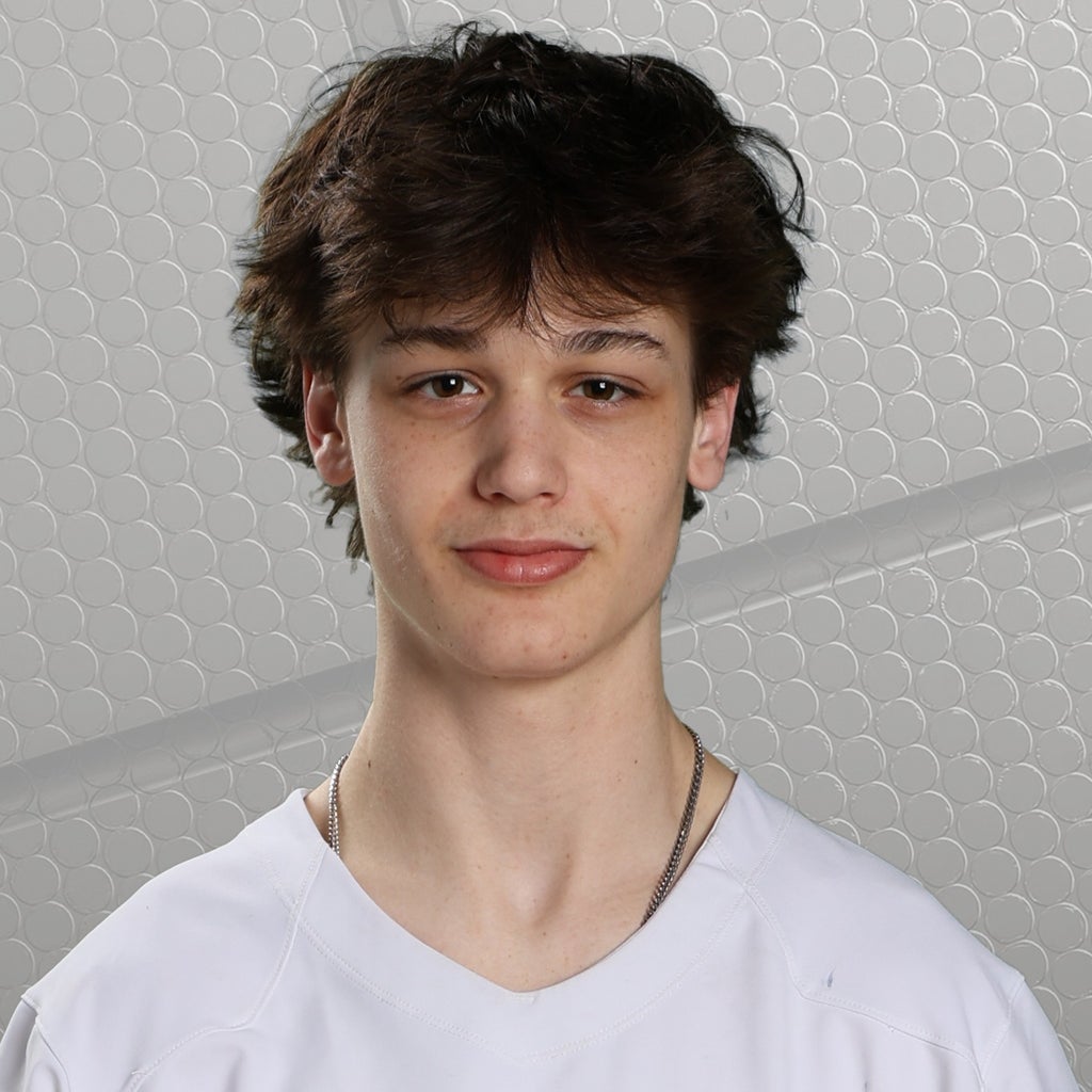 Drew Viens mugshot