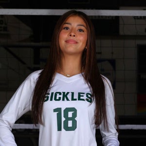 Sandy Garcia - Suarez mugshot