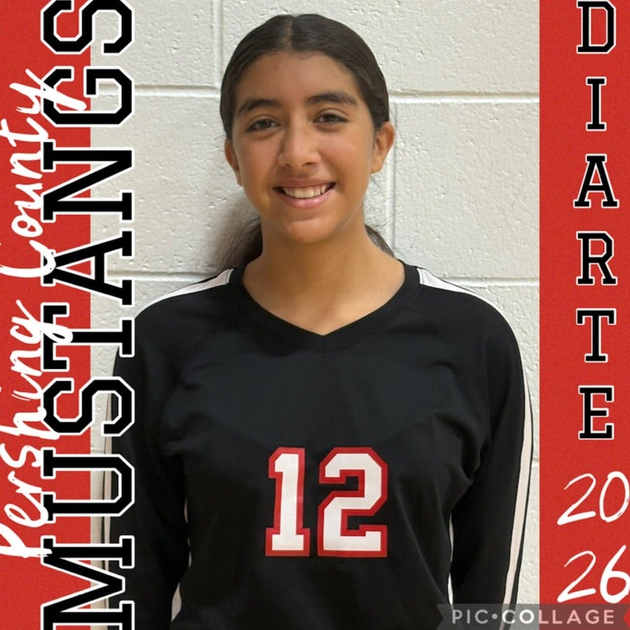 Sarah Diarte mugshot