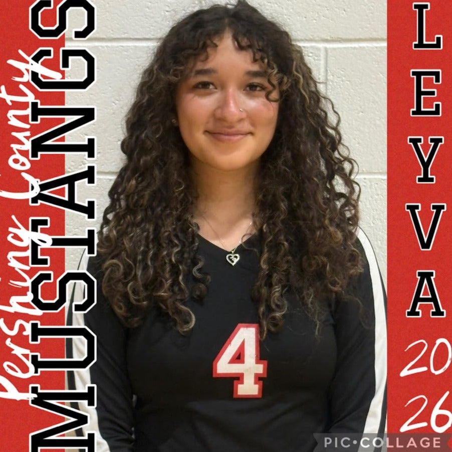 Aisha Leyva mugshot