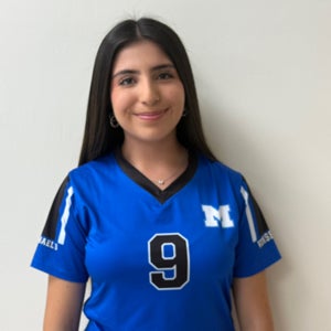Elena Castillo mugshot
