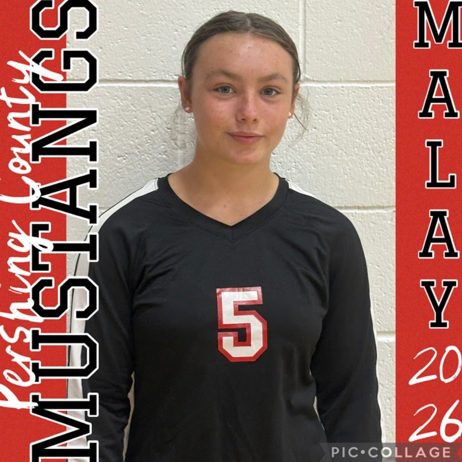 Hadlie Malay mugshot