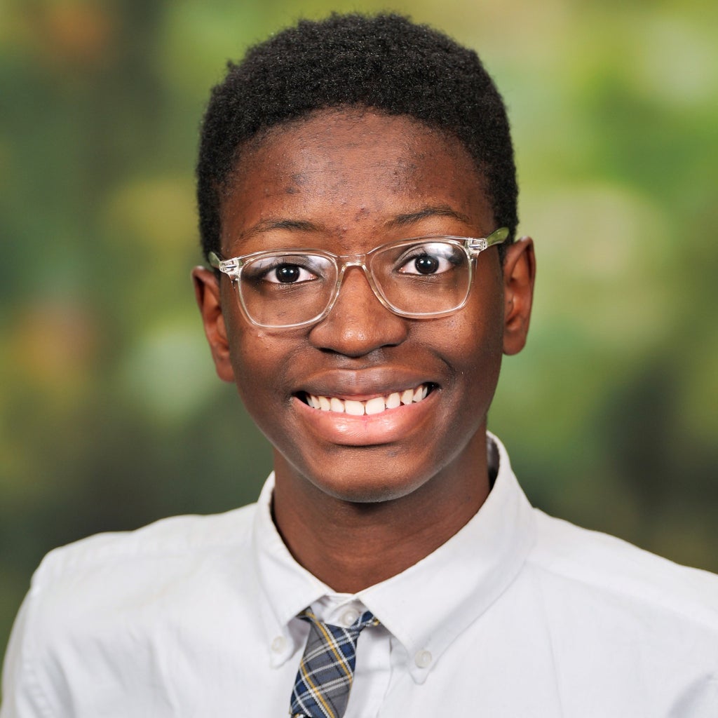 Joshua Oluyemi mugshot