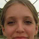 Amanda Navarro mugshot