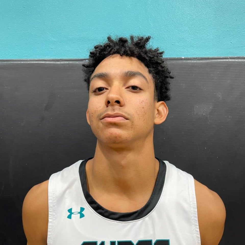 Elvin Hernandez mugshot