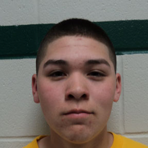 Andru Douglas mugshot