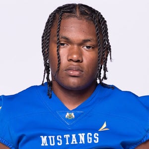 Sindey Young mugshot
