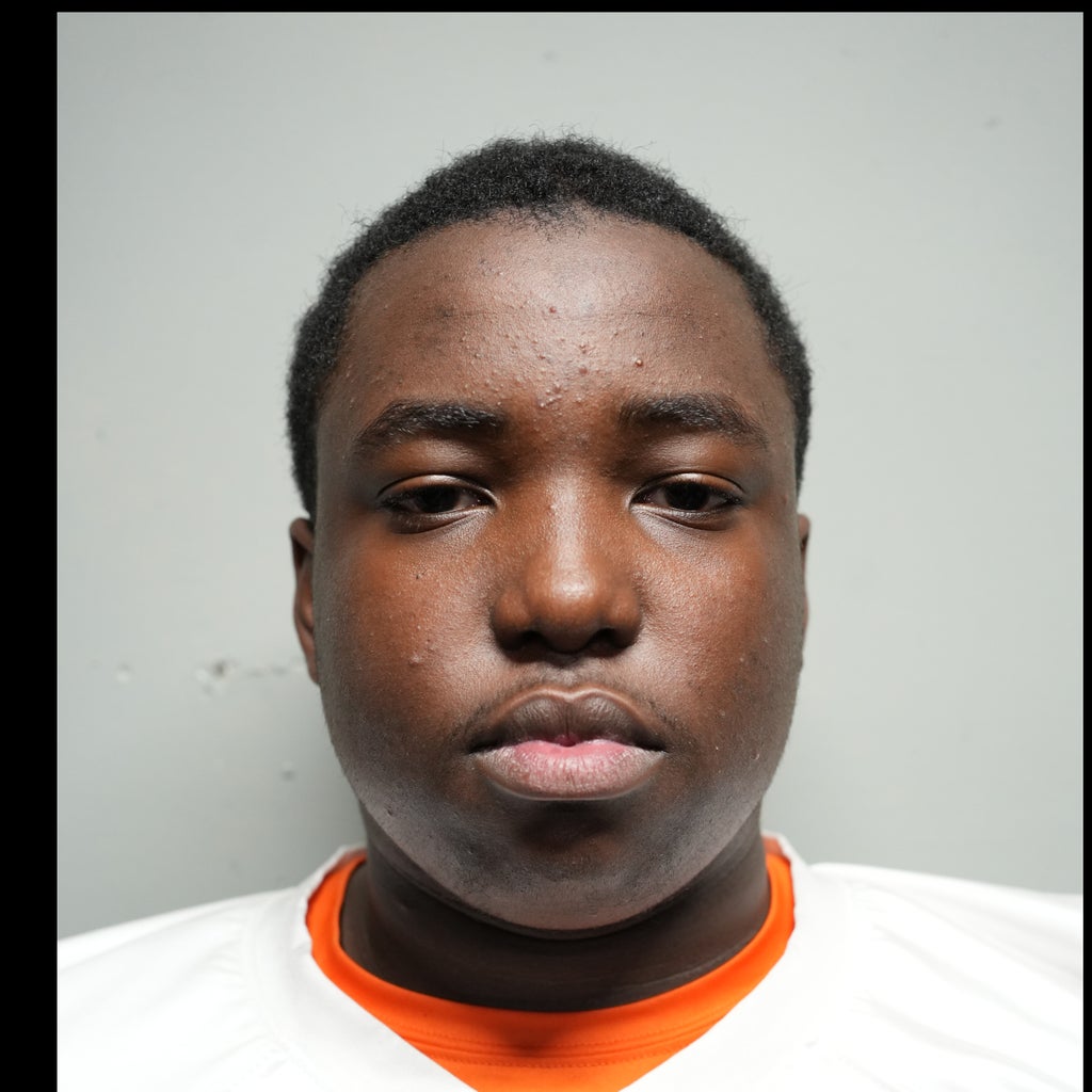D'Zion Lewis mugshot