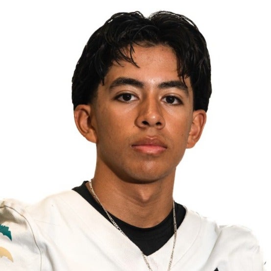 Raul Castillo mugshot