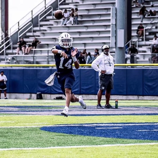 Adrienne Ponce mugshot