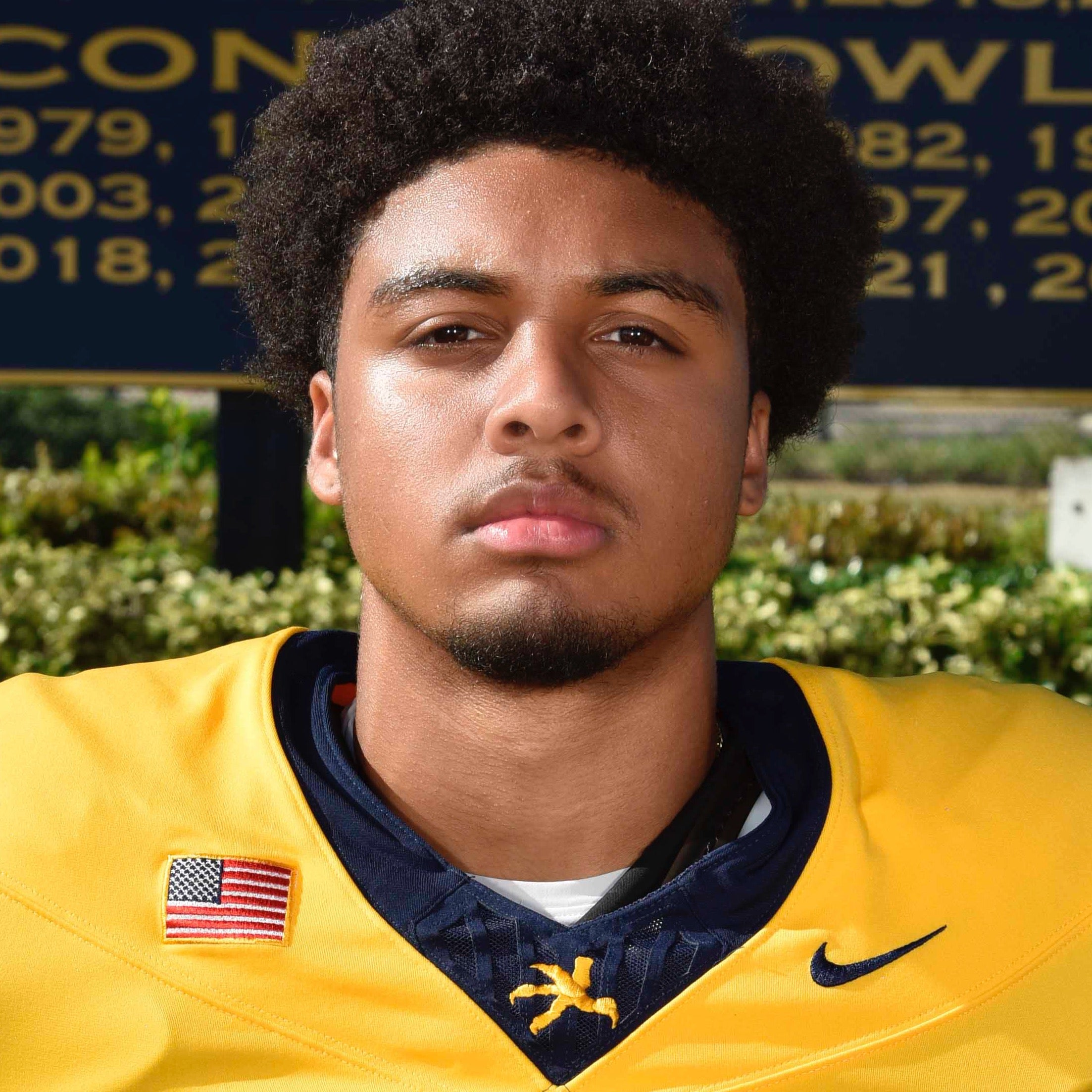 Andre Ferdinand mugshot