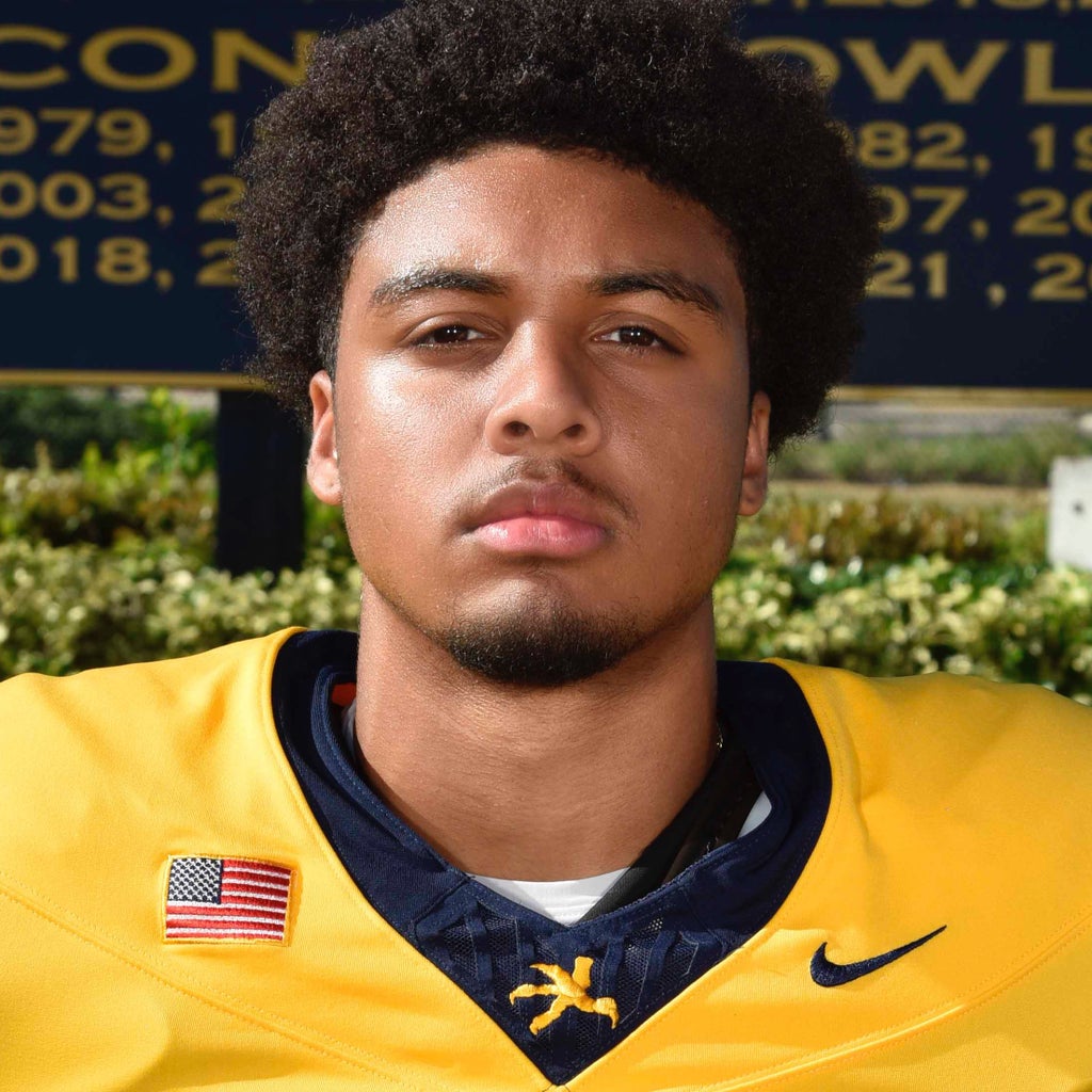 Andre Ferdinand mugshot