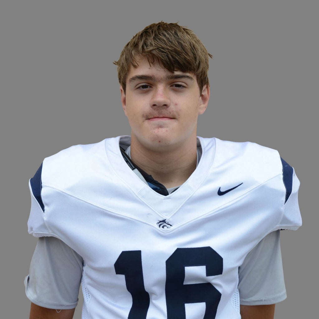 Platon Shevchenko mugshot