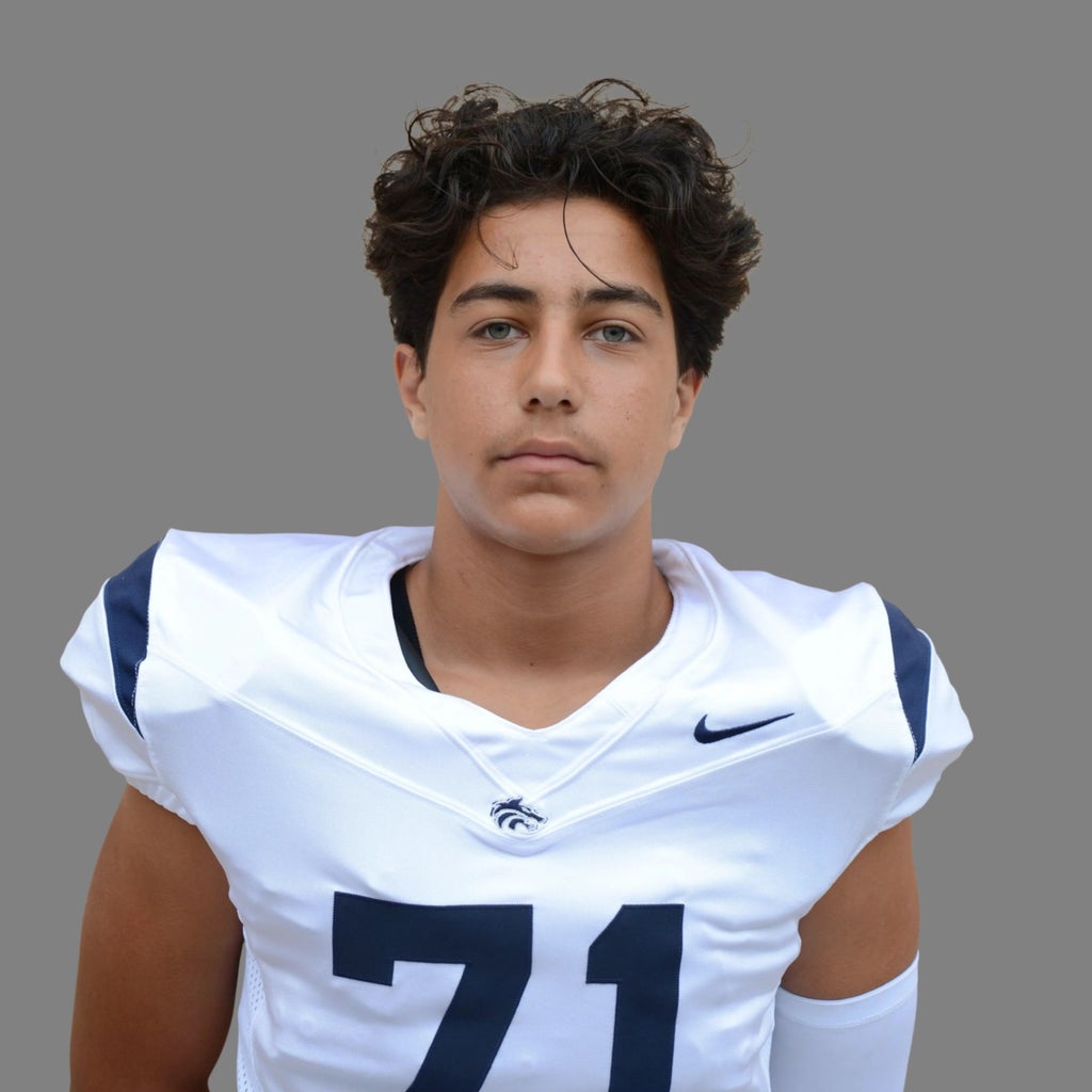 Baraa Aljarousha mugshot