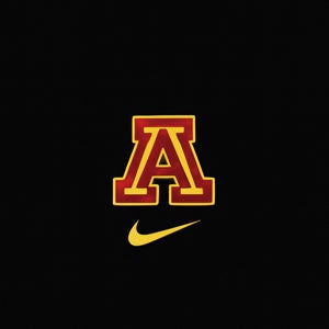 Trinidad Ayala mugshot