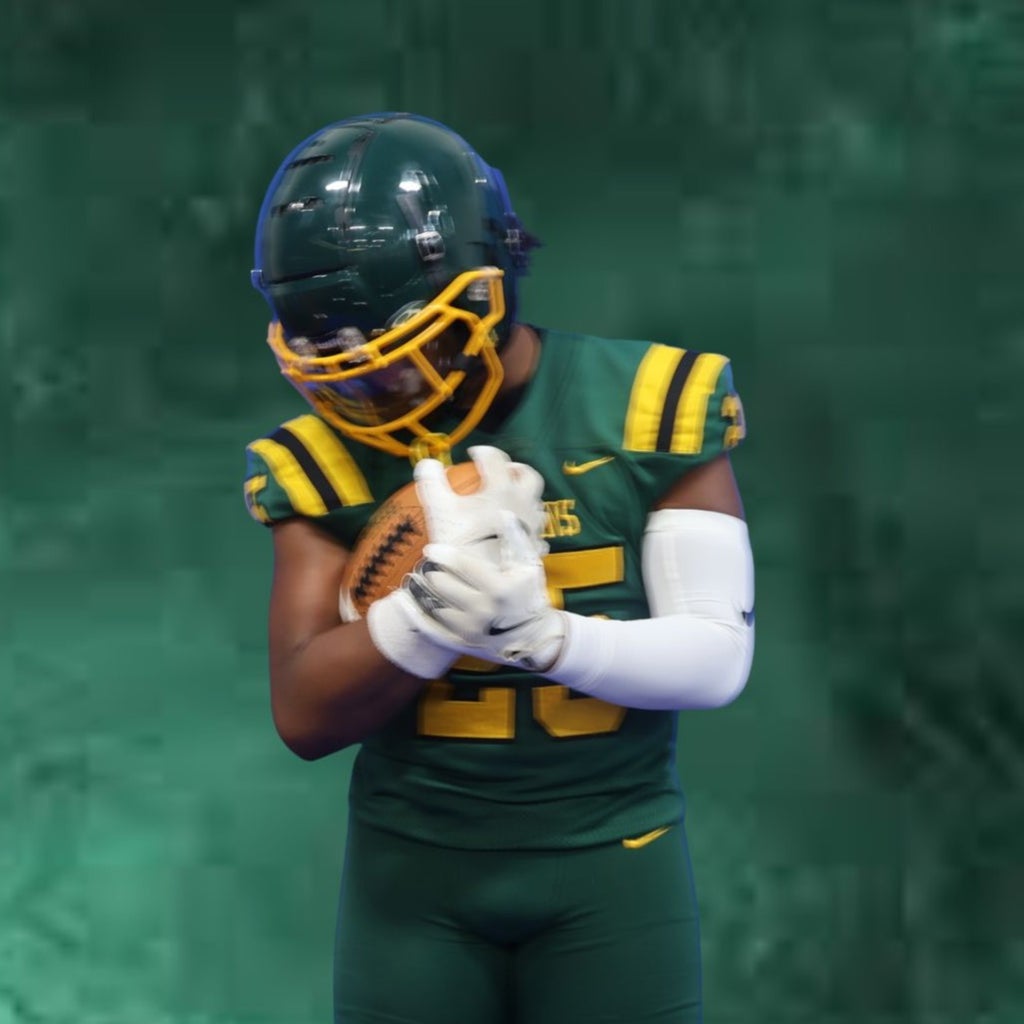 Jaylin Hammonds mugshot