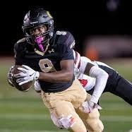 Nelson Hollingsworth mugshot