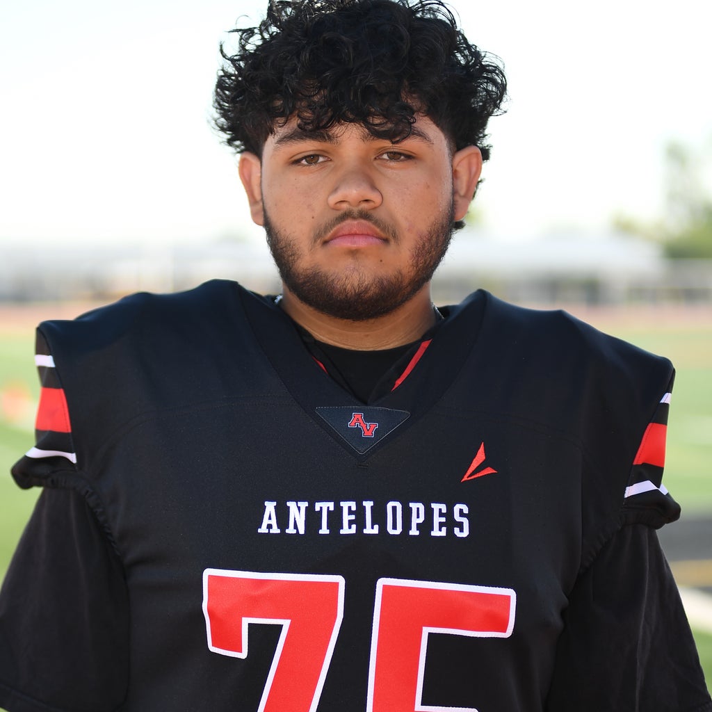 Josue Alavardo mugshot