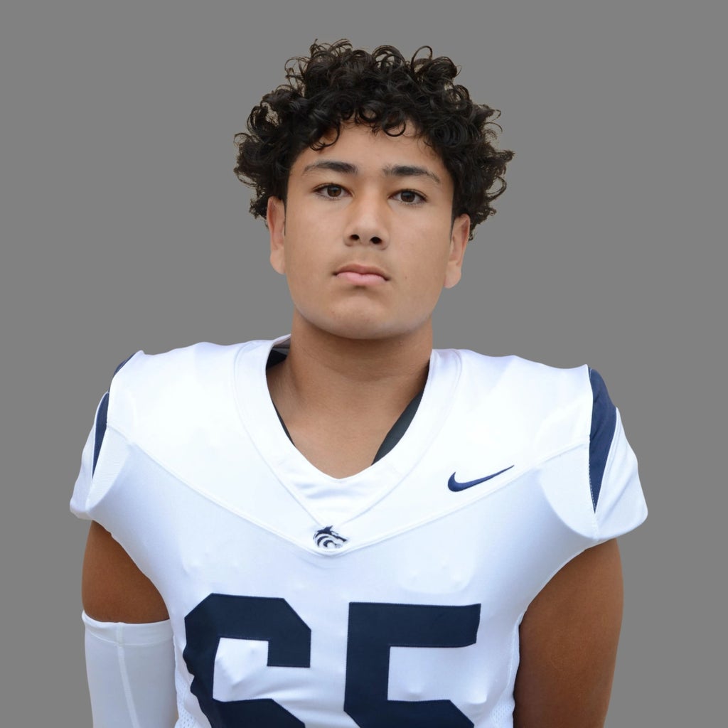 Behnia Samimi mugshot