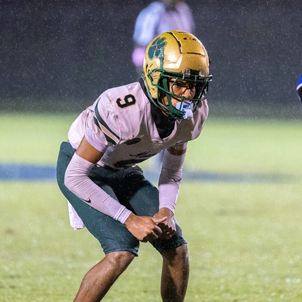 Jayden Haynes mugshot