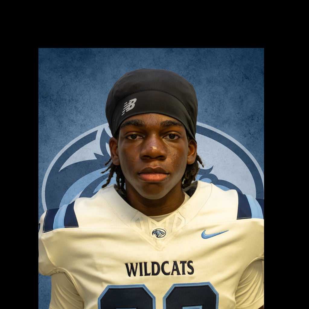 Dmitri Bourgoin mugshot