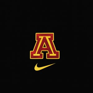 Koko Sahatjian mugshot