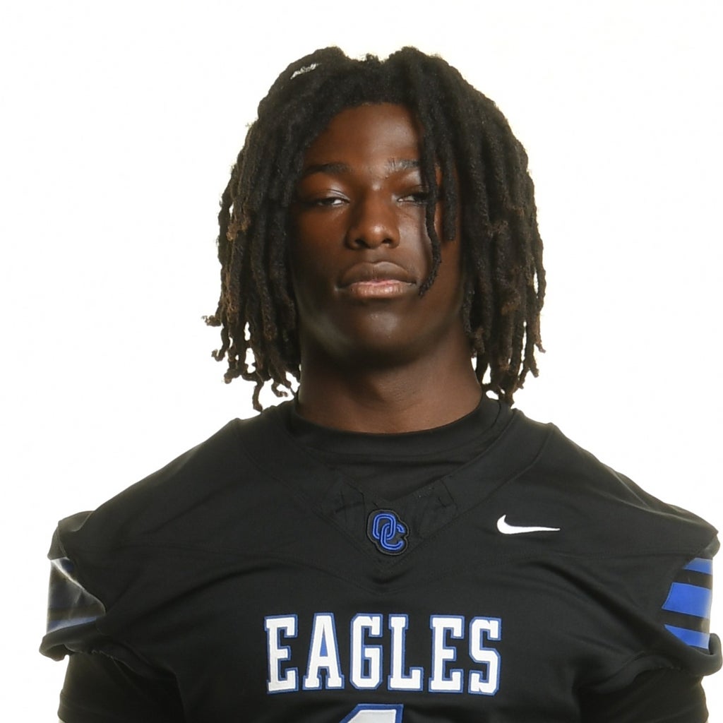 Jeremy Adeyanju mugshot