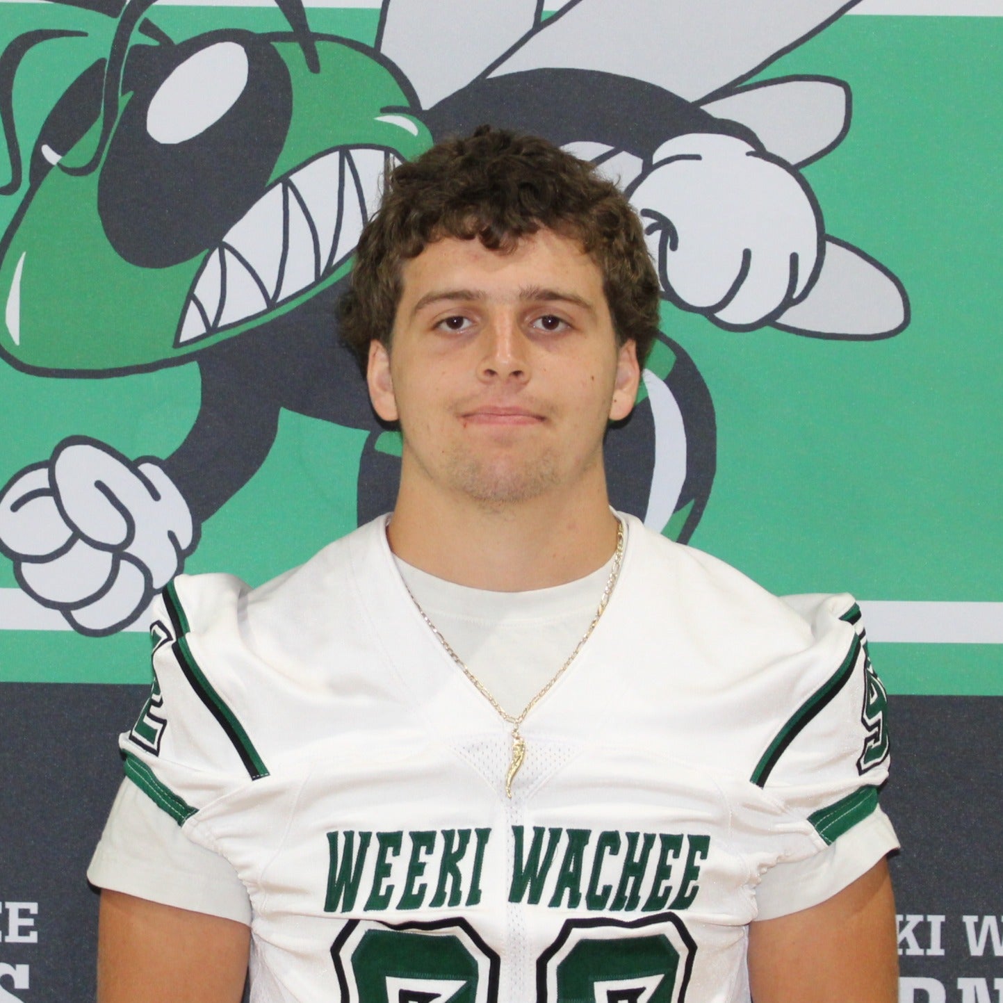 Levi Steiner mugshot