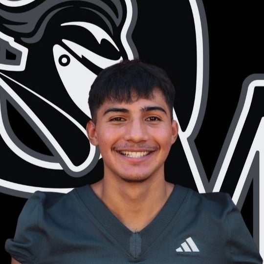 Yandel Molina mugshot