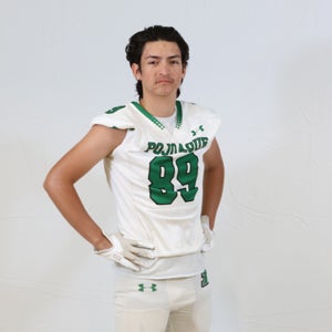 Josh Martinez mugshot