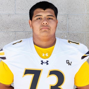 Andres Flores mugshot