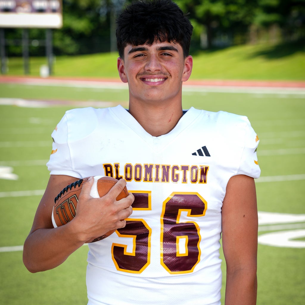 Adis Hamidovic mugshot