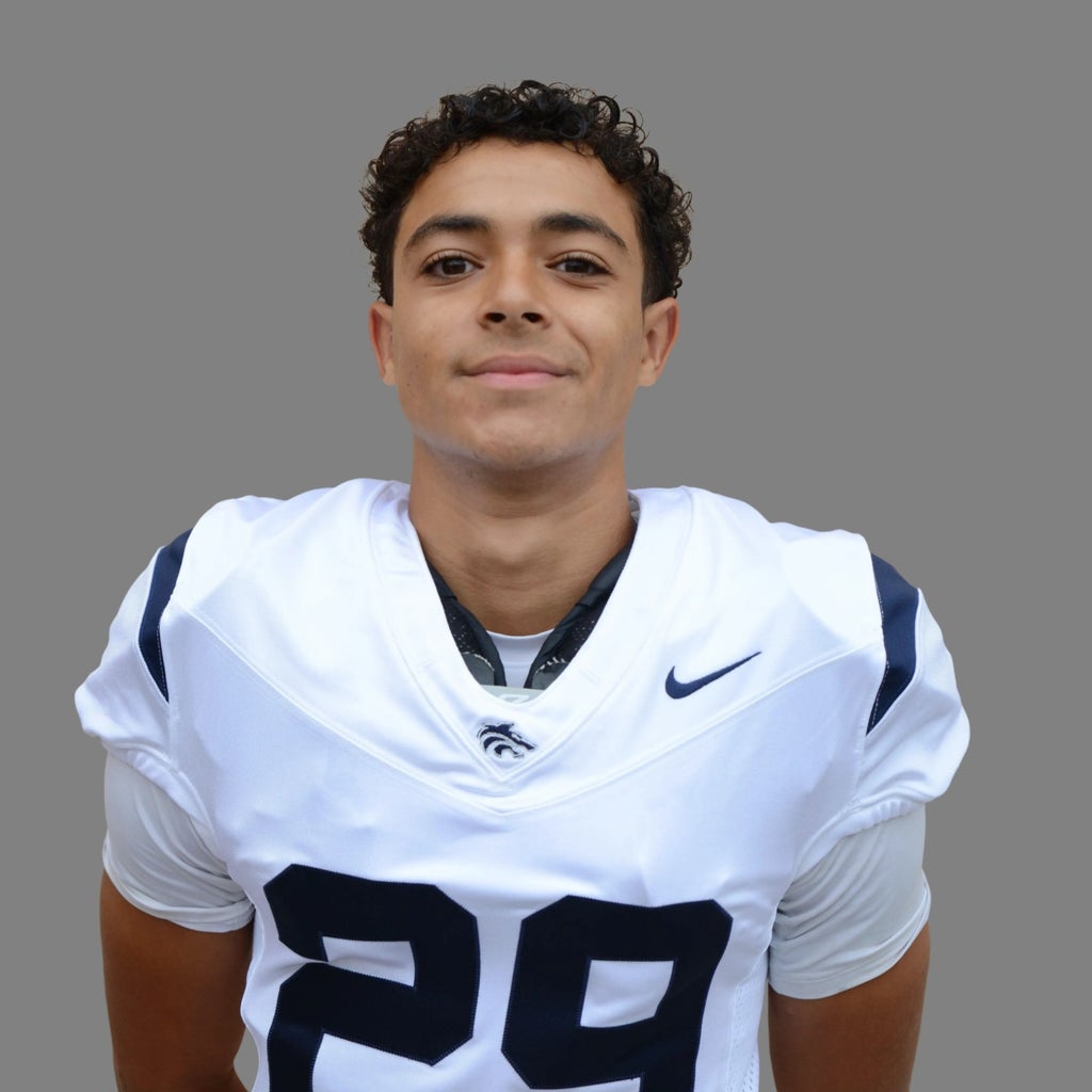 Pedro Vieira mugshot