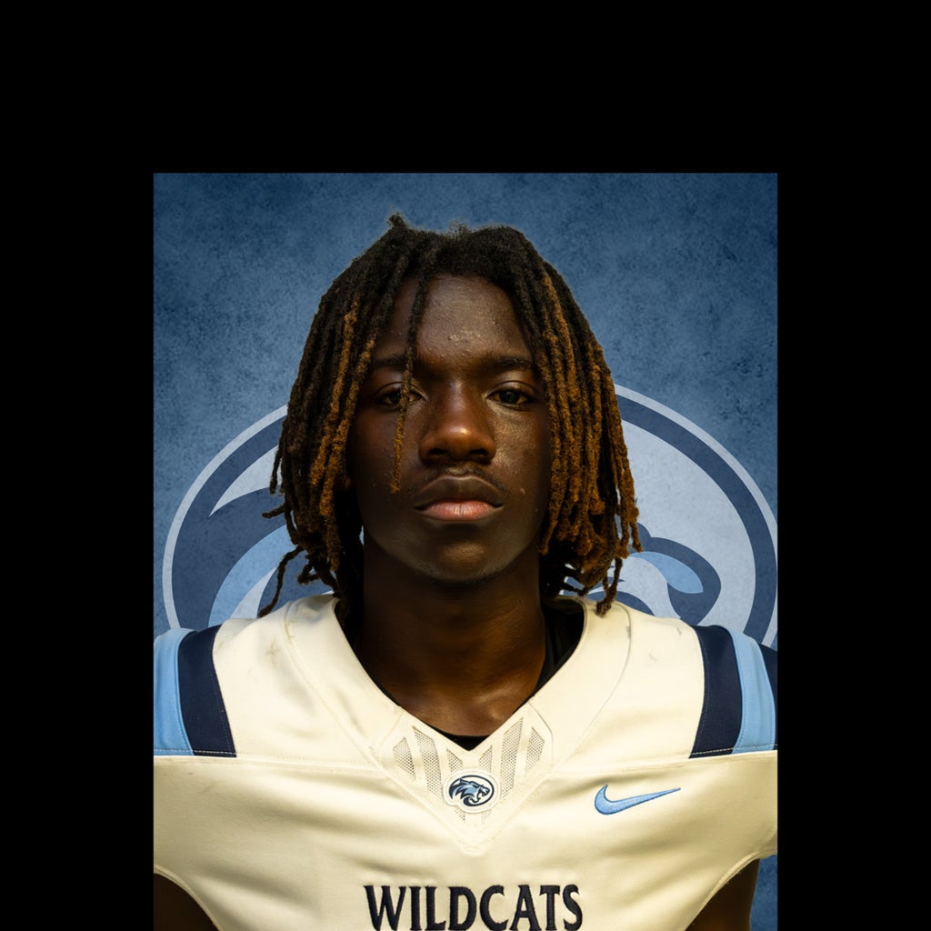 Mike Johnson mugshot