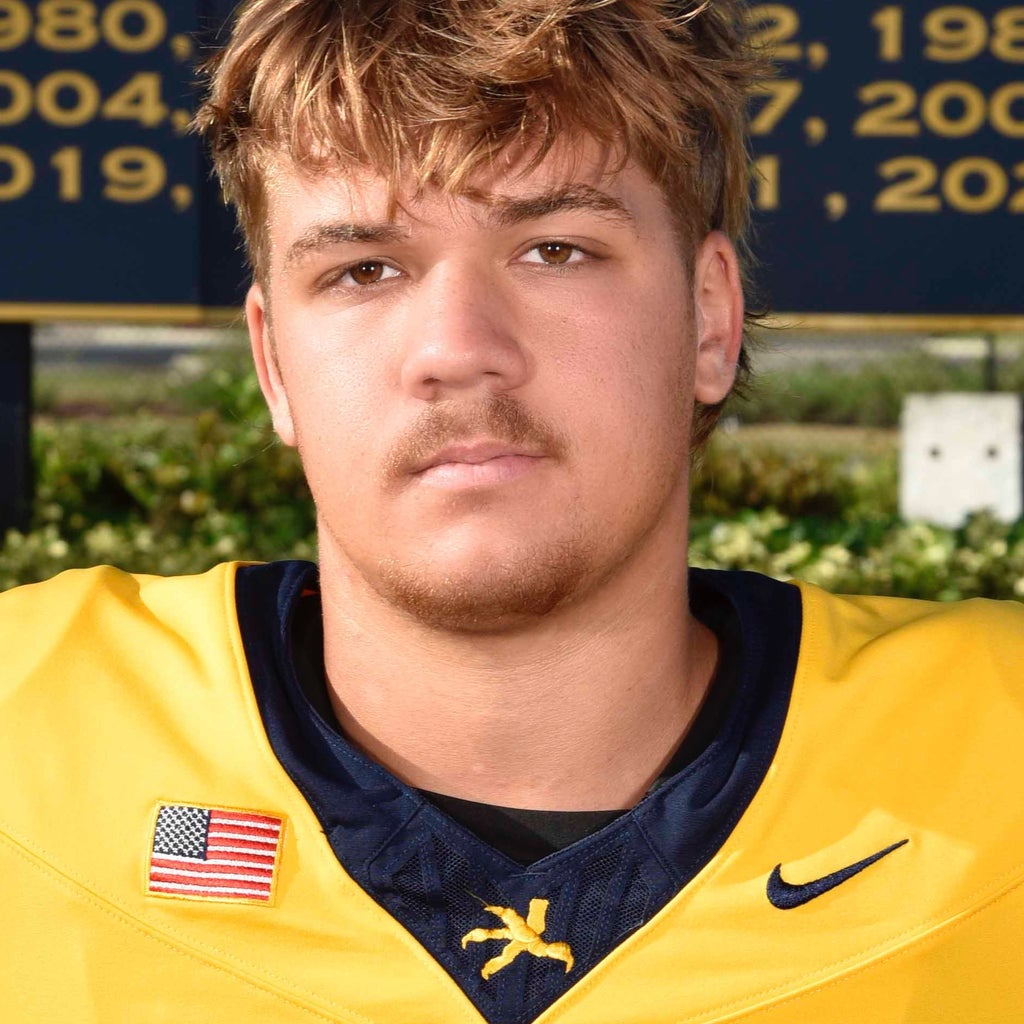 Dariece Collins mugshot