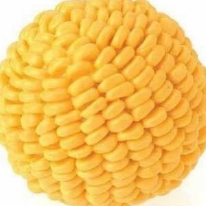 Tyler Budtke mugshot