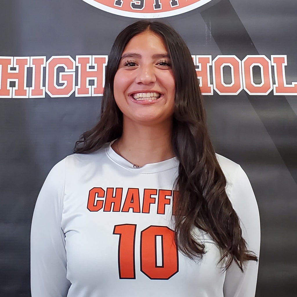 Alina Vargas mugshot