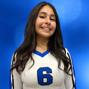 Inez Castillo mugshot