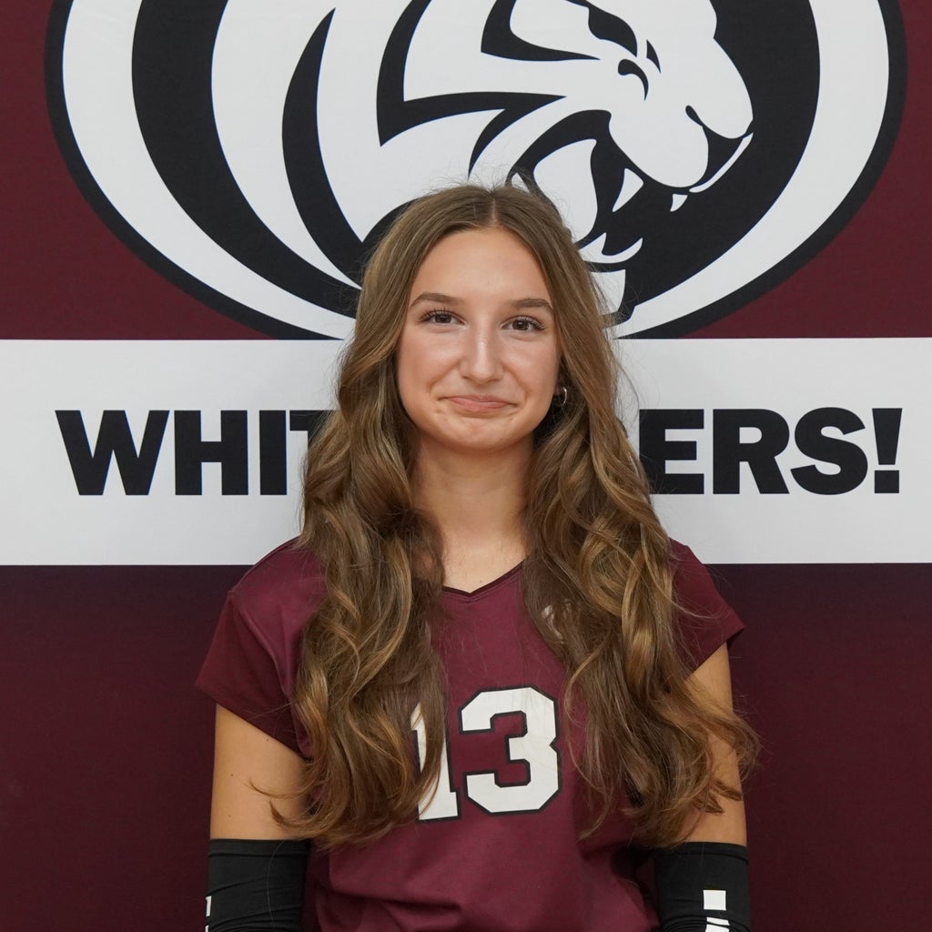 Daylia Willer mugshot