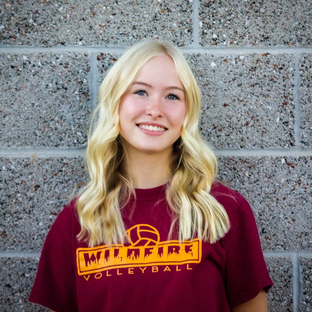 Lynnsey Drone mugshot