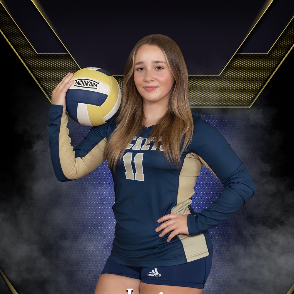 Lois Brogren mugshot