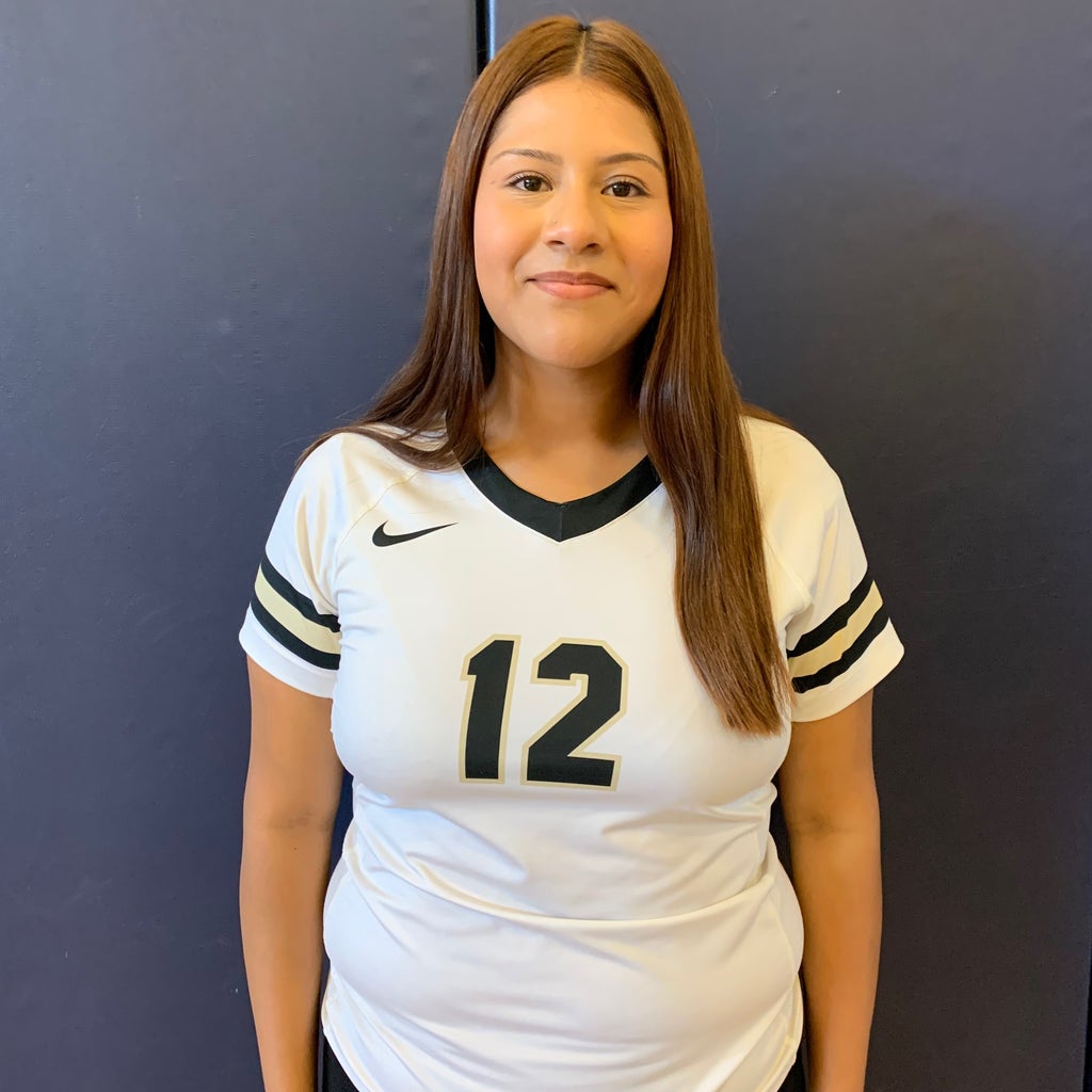 Brisa Avila mugshot